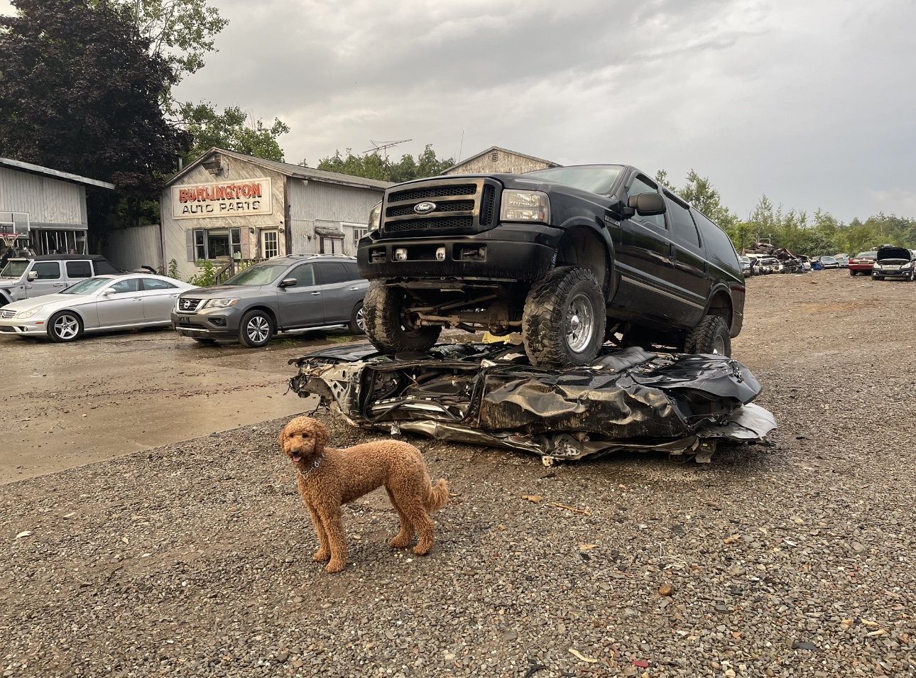 Burlington Used Auto Parts salvage yard